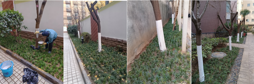 1734571609244686.png 1734571609244686.png